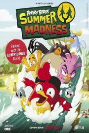 hd-Angry Birds: Summer Madness