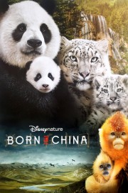 hd-Born in China