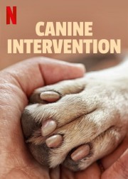 hd-Canine Intervention