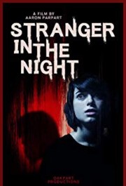 hd-Stranger in the Night