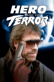hd-Hero and the Terror