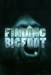 hd-Finding Bigfoot