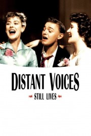hd-Distant Voices, Still Lives