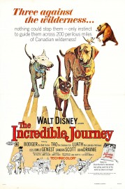 hd-The Incredible Journey