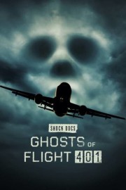 hd-Ghosts of Flight 401