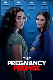 hd-The Pregnancy Promise