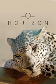 hd-Horizon