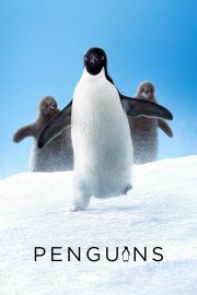 hd-Penguins