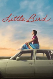 hd-Little Bird