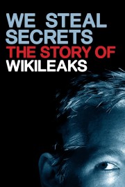 hd-We Steal Secrets: The Story of WikiLeaks