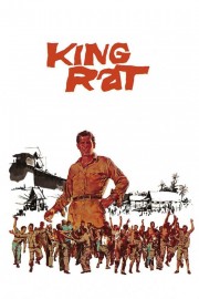 hd-King Rat
