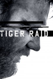 hd-Tiger Raid