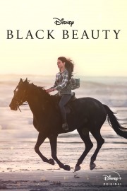 hd-Black Beauty