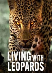 hd-Living with Leopards