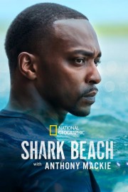 hd-Shark Beach with Anthony Mackie