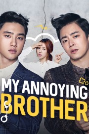 hd-My Annoying Brother