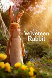 hd-The Velveteen Rabbit