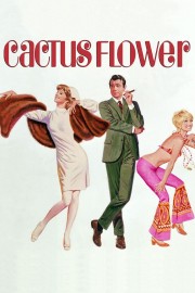 hd-Cactus Flower