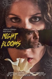 hd-Night Blooms