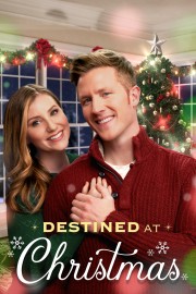 hd-Destined at Christmas