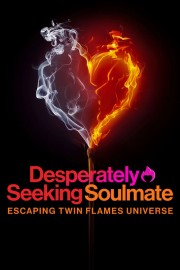 hd-Desperately Seeking Soulmate: Escaping Twin Flames Universe