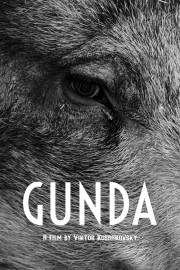 hd-Gunda
