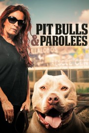 hd-Pit Bulls and Parolees