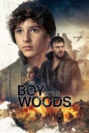 hd-The Boy in the Woods