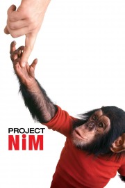 hd-Project Nim