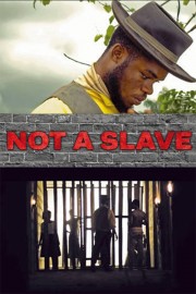 hd-Not a Slave