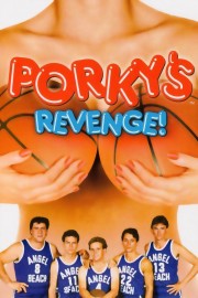 hd-Porky's 3: Revenge