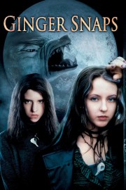 hd-Ginger Snaps