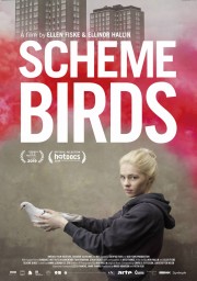 hd-Scheme Birds