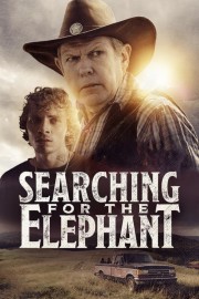 hd-Searching for the Elephant