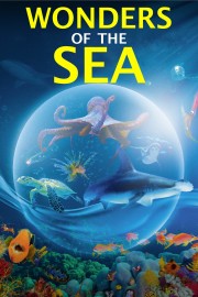 hd-Wonders of the Sea 3D