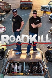 hd-Roadkill