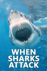 hd-When Sharks Attack