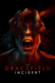 hd-The Gracefield Incident
