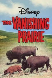 hd-The Vanishing Prairie