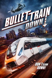 hd-Bullet Train Down