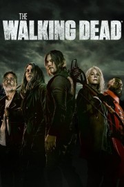 hd-The Walking Dead