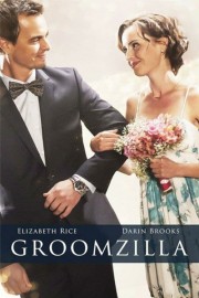 hd-Groomzilla