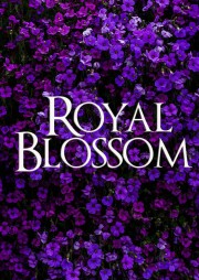 hd-Royal Blossom
