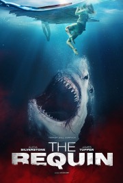hd-The Requin