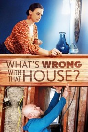 hd-What's Wrong with That House?