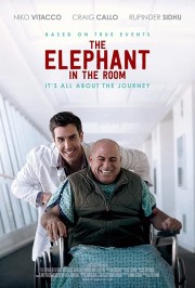 hd-The Elephant In The Room