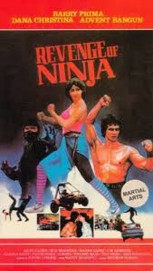 hd-Revenge of the Ninja