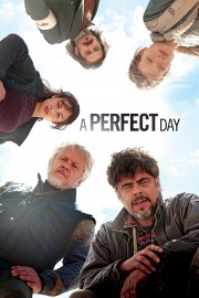hd-A Perfect Day