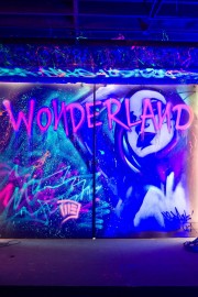 hd-Wonderland