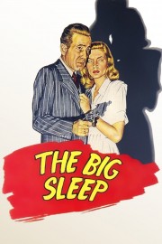 hd-The Big Sleep